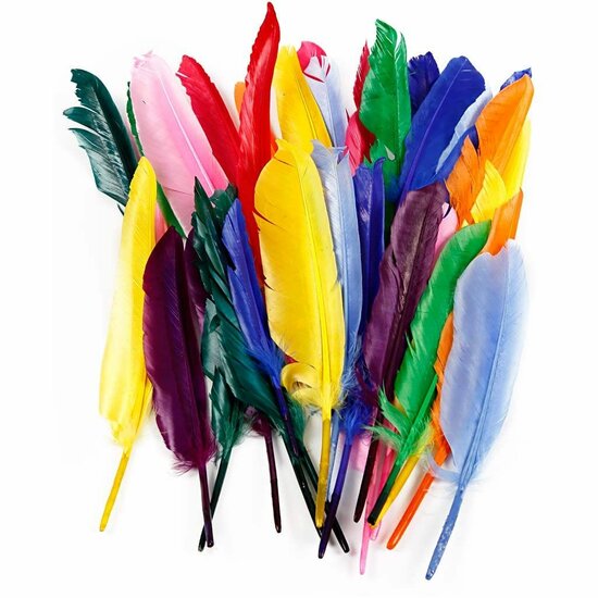 Felgekleurde Veren - Decoratieve Gekleurde Veren - Knutselveren - Hobby Veren - Knutselveren - Sierveren - 17-20 cm - 250 Stuks