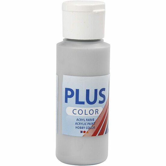 Acrylverf - Zilveren Verf - Acrylaatverf - Acrylic paint - Hobbyverf - Knutselen en Verven - Sneldrogende Verf - Waterbasis Verf - Hoogwaardige Decoratie Verf - Plus Color Verf - 60ml