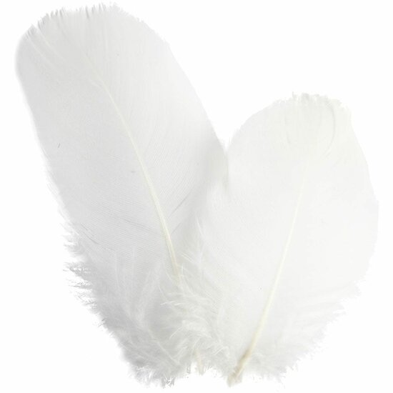 Ganzenveren Wit - Decoratieve Witte Veren - Knutselveren - Hobby Veren - Knutselveren - Sierveren - Lengte 5-8 cm - Gewicht 3 g