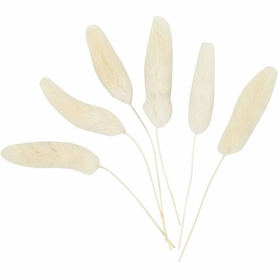 Hazenstaart Gras - Droogbloemen Decoratie - Beige Naturel Pluimen - Lagurus Droogbloemen Set - Creatieve Droog Steekschuim Decoratie - L: 3-7 cm - Set van 6 Stuks