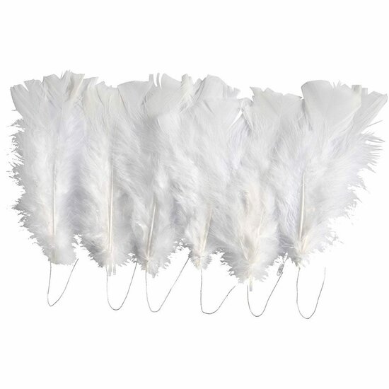 Donsveren Natuurlijk - Decoratieve Naturel Veren - Knutselveren - Hobby Veren - Knutselveren - Sierveren - 2x24 Stuks