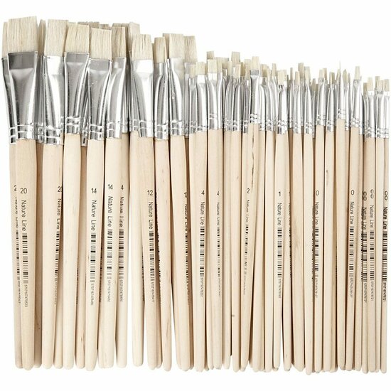 Nature Line kwasten - Professionele Schilderkwasten - Verfkwasten voor Aquarel en Acrylverf - Ronde Penselen - Maat 00+0+1+2+4+12+14+20 - Lengte 18-22 cm - Breedte 3-20 mm - Set van 68 stuks