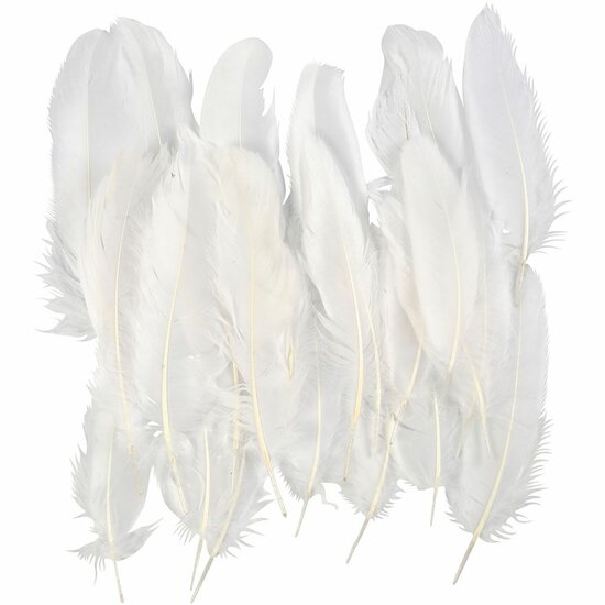 Ganzenveren Wit - Decoratieve Witte Veren - Knutselveren - Hobby Veren - Knutselveren - Sierveren - 10-18 cm - Set van 70 Stuks