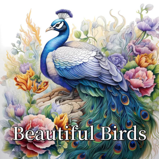 Kleurboek Mooie Vogels  Vogel Kleurboek  Kleurboek Vogels  Kleurplaten Vogels  Kleurboek Natuur  Kleurboek Volwassenen Vogels  Vogels Inkleuren  Vogels Tekeningen  22 Kleurplaten  20x20 cm