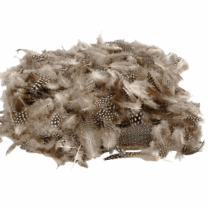 DIY Veren Naturel - Decoratieve Naturel Veren - Knutselveren - Hobby Veren - Knutselveren - Sierveren - 50 Stuks