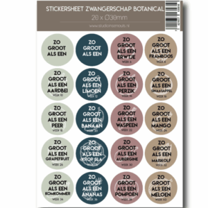Studio Ins & Outs - Stickervel Zwangerschap Botanical - 20 Ronde Stickers - Zwangerschap Mijlpaalstickers - Baby Grootte Stickers