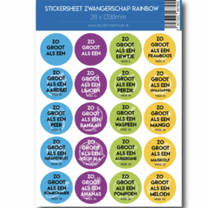 Studio Ins & Outs - Stickervel Zwangerschap Rainbow - 20 Ronde Stickers - Zwangerschap Mijlpaalstickers - Baby Grootte Stickers