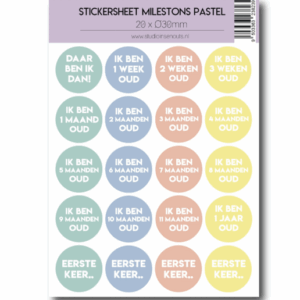 Studio Ins & Outs - Stickervel Milestones Pastel - Baby Mijlpaalstickers Leeftijden - Pastelkleuren - 20 Stickers